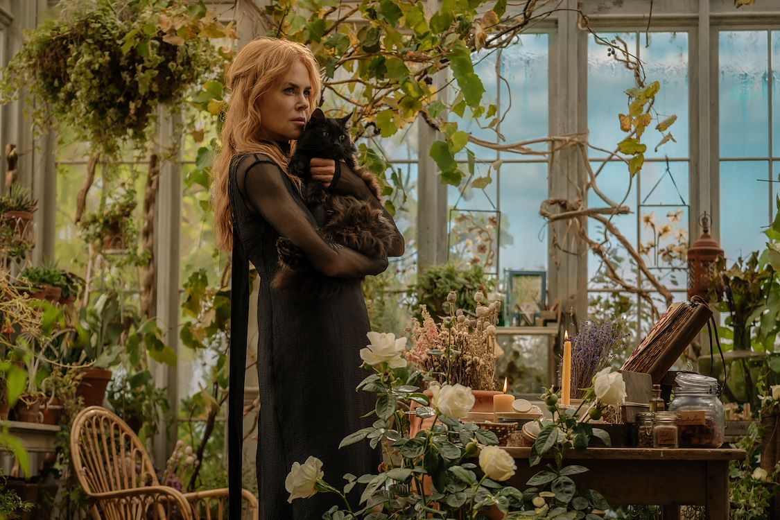 Nicole Kidman in Practical Magic 2.