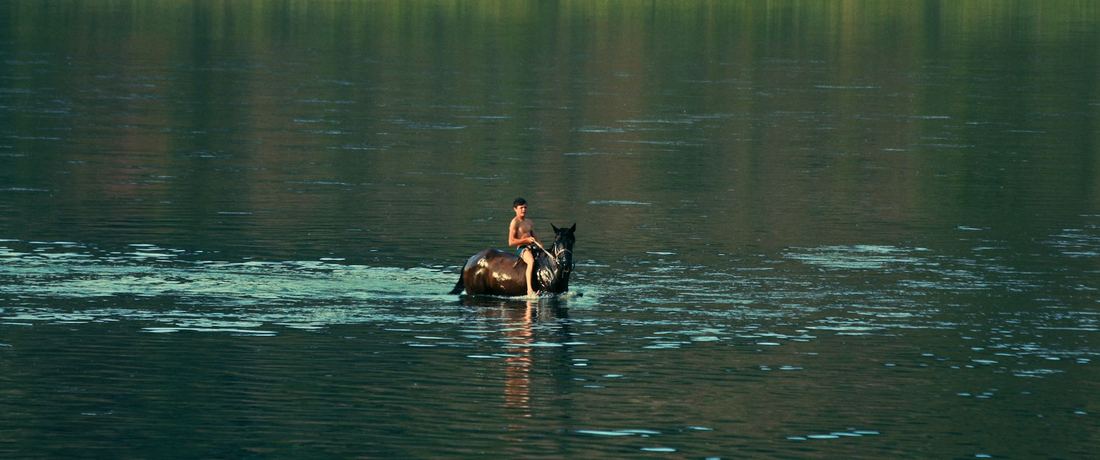 Scene uit Silent Flood.